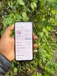 A picture of Redim Note 11 Pro 5G