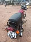 A picture of Quick sale UG Boss at 1 8m Call Whatsapp 0700774125