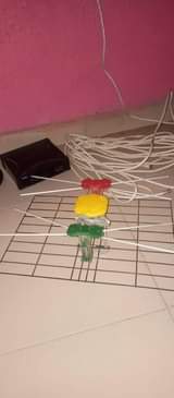 A picture of All items available for sale in Lagos
