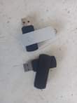 A picture of Flash