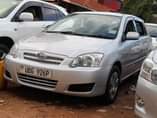 A picture of Toyota allex