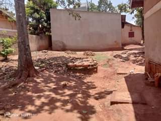 A picture of Bukoto land for sale