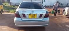 A picture of Toyota premio