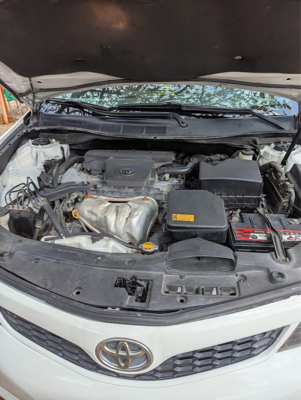 A picture of  11 900 000 TOKS STANDARD CLEAN FIRST BODY 2013