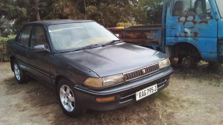 used toyota corolla