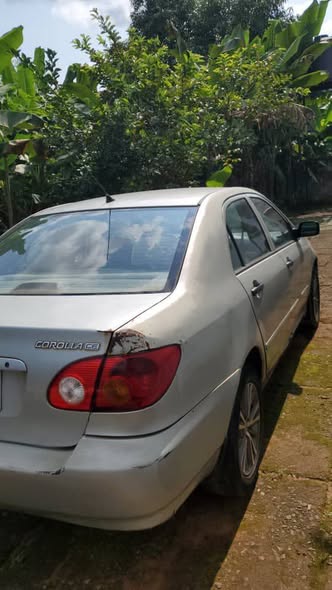 A picture of 04 corolla