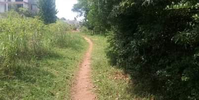 A picture of For sale 4acres in Bweyogerere Bukasa Uganda
