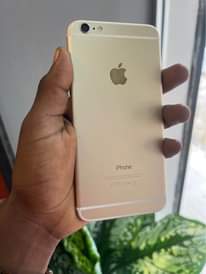 A picture of iPhone 6 Plus
