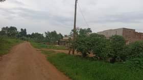 Ssentumbwe B.