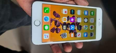 A picture of Iphone 6 plus