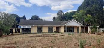 rooms to rent harare