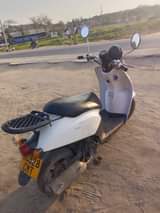 A picture of Lakisaba njoochap