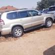 A picture of Landcruiser Prado TZ 49m