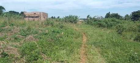 A picture of 33 decimals at 35m Matugga Kavule 2km off Tarmac Bombo