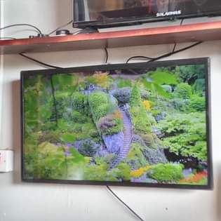 A picture of NCH 32 TSH 175