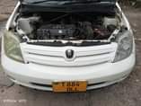 A picture of Gali