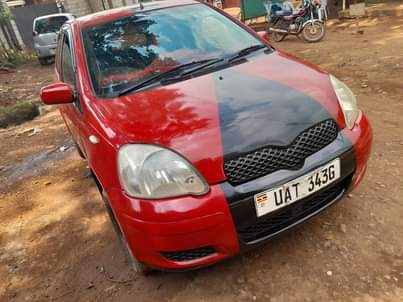 A picture of Vitz