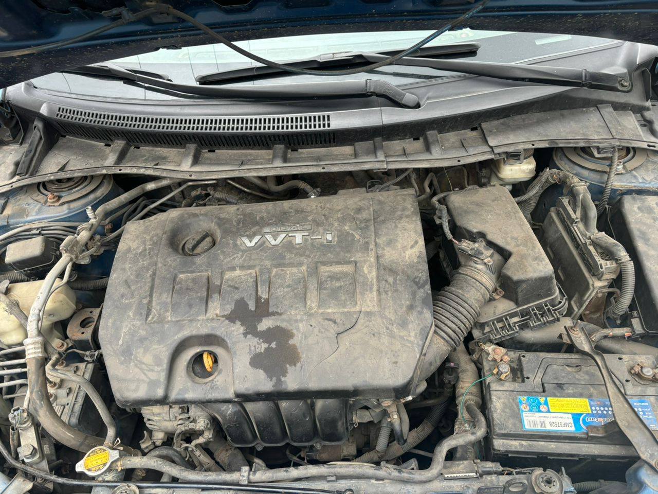A picture of Toyota Corolla 2010
