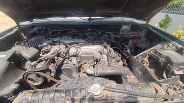 A picture of Pajero