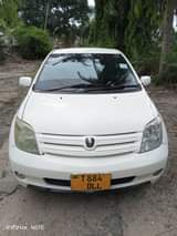 A picture of Gali