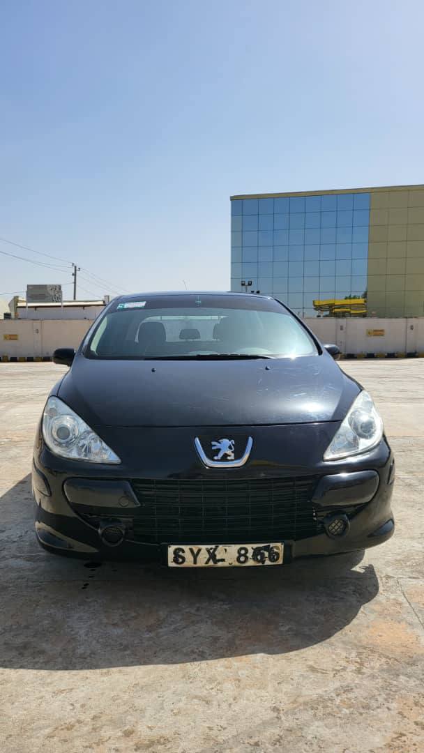 A picture of PEUGEOT 307. 2006