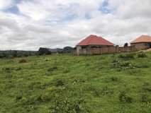 houses hoima