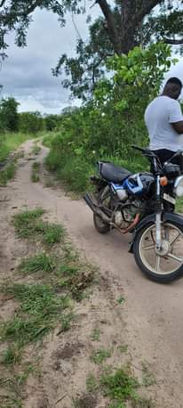 A picture of Shamba rinauzwa kiwangwa bagamoyo kwa mawasiriano 0783496873