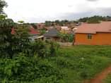 A picture of Kawanda kawempe bombo rd plot on quick sale