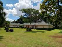 property mount pleasant