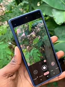 A picture of google pixel 6