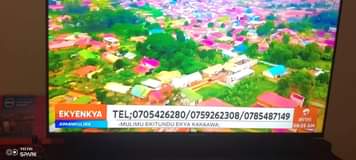 A picture of Free delivery 0705426280