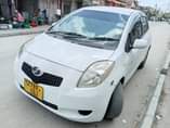 A picture of Vitz