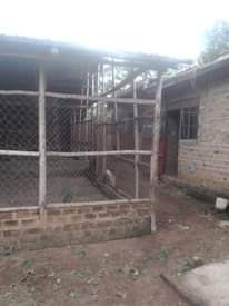A picture of POULTRY farm