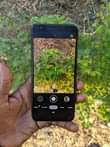 A picture of Google pixel 3A mpyaaaaa atar gb64 ram4 net4g
