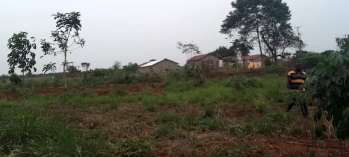 A picture of 1 acre Kibanja at 6 5m Luwero Mulungi Omu village