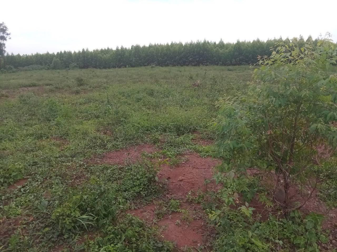 A picture of BLACK NOVEMBER SALE IS HERE. 13 plots of land 50by100ft