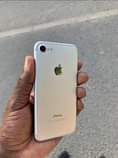 A picture of IPHONE 7 PLAIN