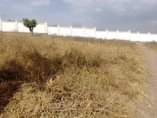 A picture of Viwanja viko Buhongwa 20 20 Bei Mil 1.3 ww ukiwa