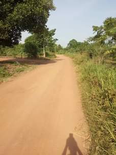 A picture of 3acres on sale all at 37 5m 11km from kikyusa