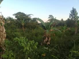 A picture of 90ft by 180ft for sale at 20 millions by owner