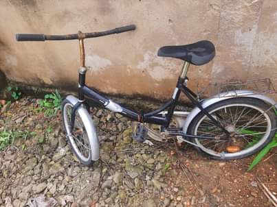 A picture of Karibu