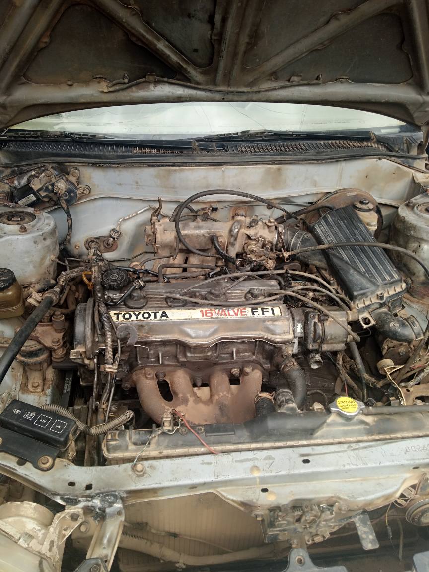 A picture of Toyota Corolla okerejowoelo