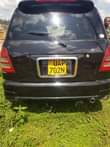 A picture of Toyota pyza