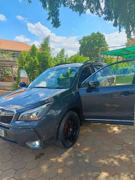 A picture of SUBARU FORESTER UBP