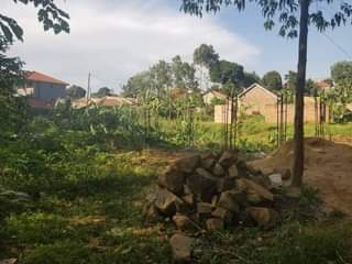 A picture of Land