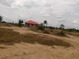 Godfred B.