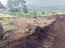 A picture of 25 50ft at 1m 50 50ft at 2m In Wakiso