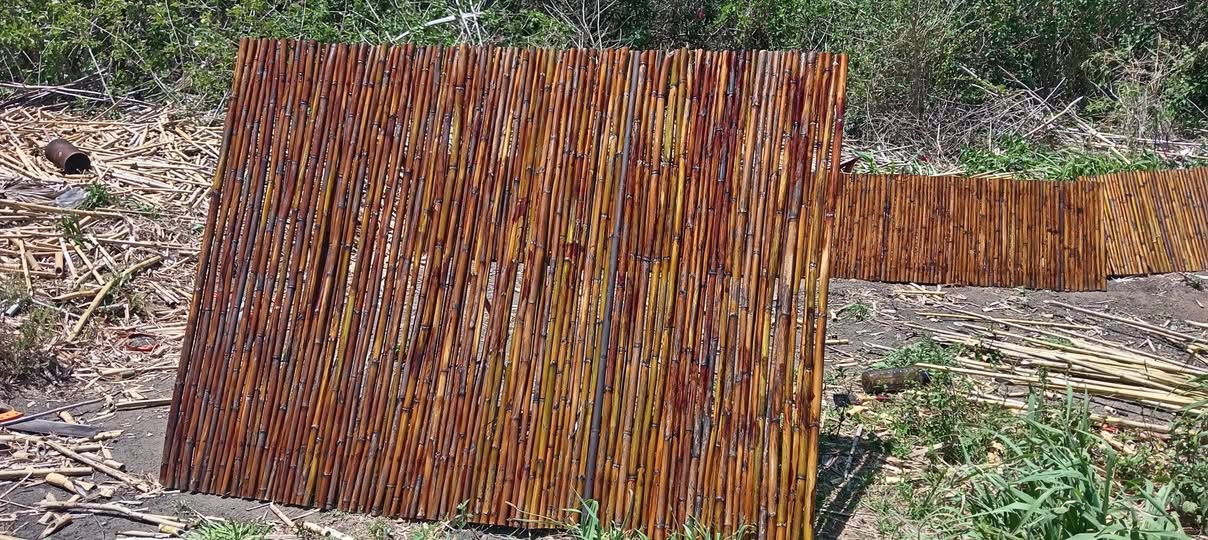bamboo bed