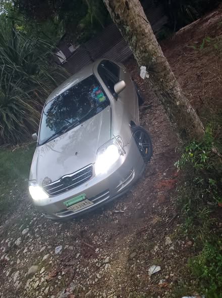 cars