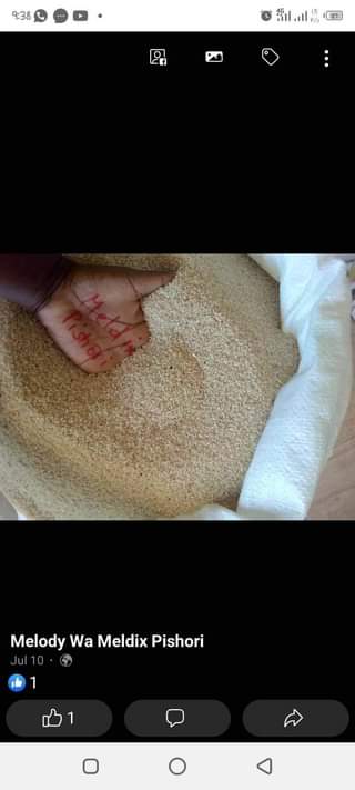 rice